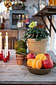 Fruit bowl with oranges and apples in front of a planter with Christmas roses