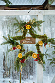 Hanging star with moss and dried citrus slices as Christmas decoration