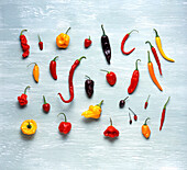 Various chilli peppers on a light background