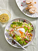 Lyonnaise-Salat mit pochiertem Ei