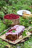 Cranberry cake and freshly harvested cranberries in the garden
