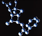 Nonactin antibiotic molecule, illustration