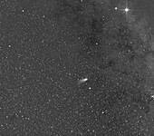 Comet Leonard, SoloHI image