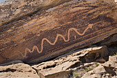 Snake petroglyph on a rock art panel