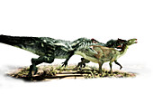 Allosaurus dinosaurs hunting, illustration