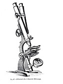 Pillischer's No. 1 binocular microscope, illustration