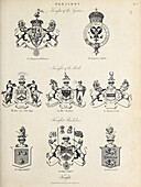 Knights heraldry, illustration