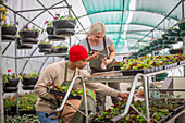 Plant nursery workers checking plants in greenhouse