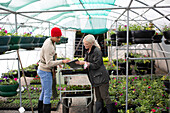 Plant nursery owners working in greenhouse
