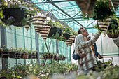 Couple shopping for hanging baskets in greenhouse