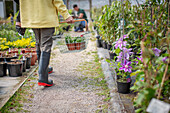 Woman carrying basket of potted plants at garden shop