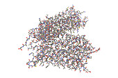 Rhodopsin molecule, illustration