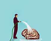 Man watering a brain, illustration