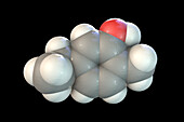 Carvacrol molecule, illustration