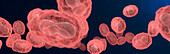 Monkeypox virus, illustration