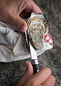 Eine Auster wird mit einem Messer geöffnet