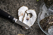 An oyster is opened with a knife