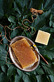 Natural honey soap and a honeycomb on a silver tray surrounded by leaves
