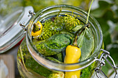 Quick pickled cucumbers with chilli, garlic and dill