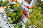 Quick pickled cucumbers with chilies, garlic, and dill