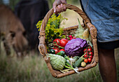 Woman carrying basket with fresh vegetables
