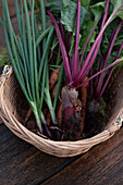 Spring onions, carrots, and beets in a basket
