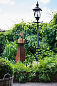 Rusty spotlights with crowns between planting