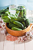 Polish garden cucumbers for pickling