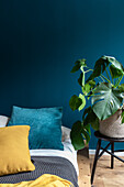 Monstera next to bed in bedroom with blue wall