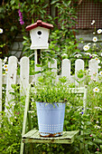 Planted bucket on garden chair in front of fence with bird house