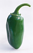 Green pepper on a light background