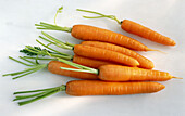Carrots on a light background