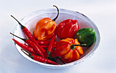 Different kinds of chili peppers in a bowl