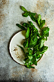 Fresh basil herb on concrete table
