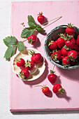Frische Erdbeeren mit Erdbeerblättern auf rosa Untergrund