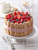 Tiramisu cake with summer fruits