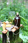 Syrup made from organic honey and ribwort plantain leaves for coughs