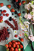 Still life with summer berries