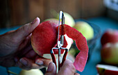 An Apple is peeled with a potato peeler