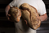 Baker holding Pane di Altamura (Italian durum wheat bread) in his hands