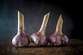 Three fresh garlic bulbs