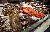 Fresh fish on display in a market hall (Sweden)