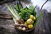 Fresh vegetables, herbs and lemons (Cambodia)