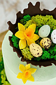 Chocolate nest as an Easter decoration on an apricot and pistachio cake