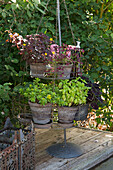 Metal stand with hanging herb pots