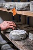 Aged Mountain Cheese 'Tomme De Montagne' (France)