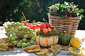 Autumn decoration with pumpkin, ornamental apples, American Wintergreen (Gaultheria) and foliage