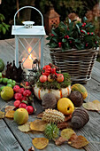 Herbstlich dekoriert Tisch mit Laternen, Zieräpfeln, Kürbis und Scheinbeere (Gaultheria)
