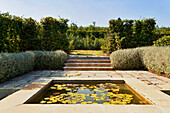 Sonniger Garten mit Hecken, Wasserbecken und Treppe