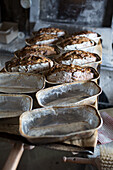 Sultana breads in bread moulds in a bakery